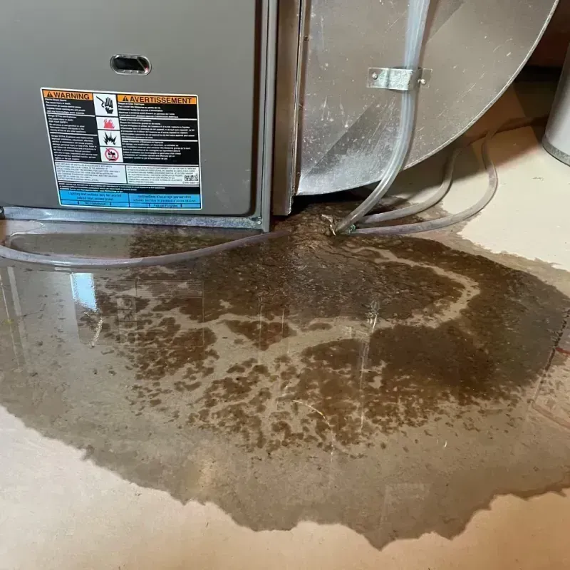 Appliance Leak Cleanup in Creve Coeur, MO